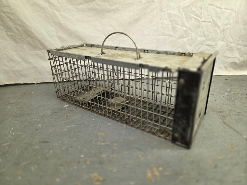 Small Animal Trap