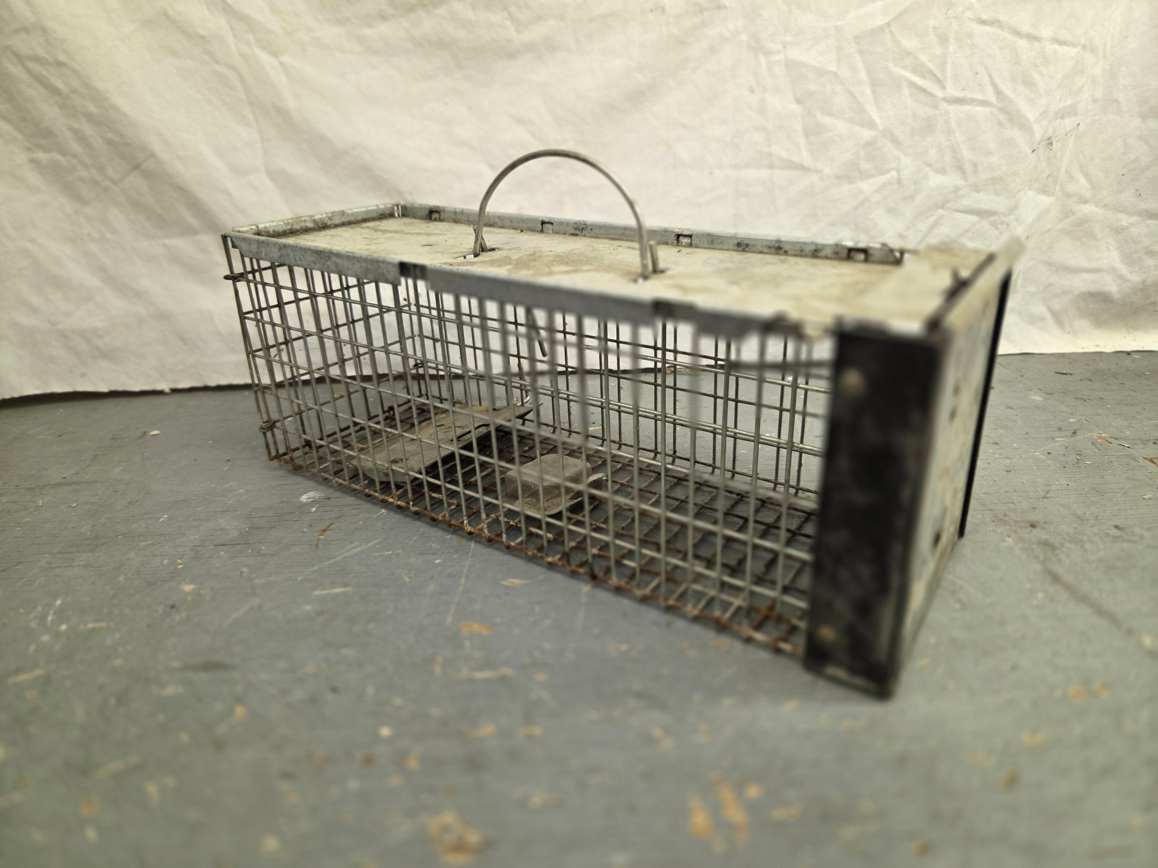 Small Animal Trap