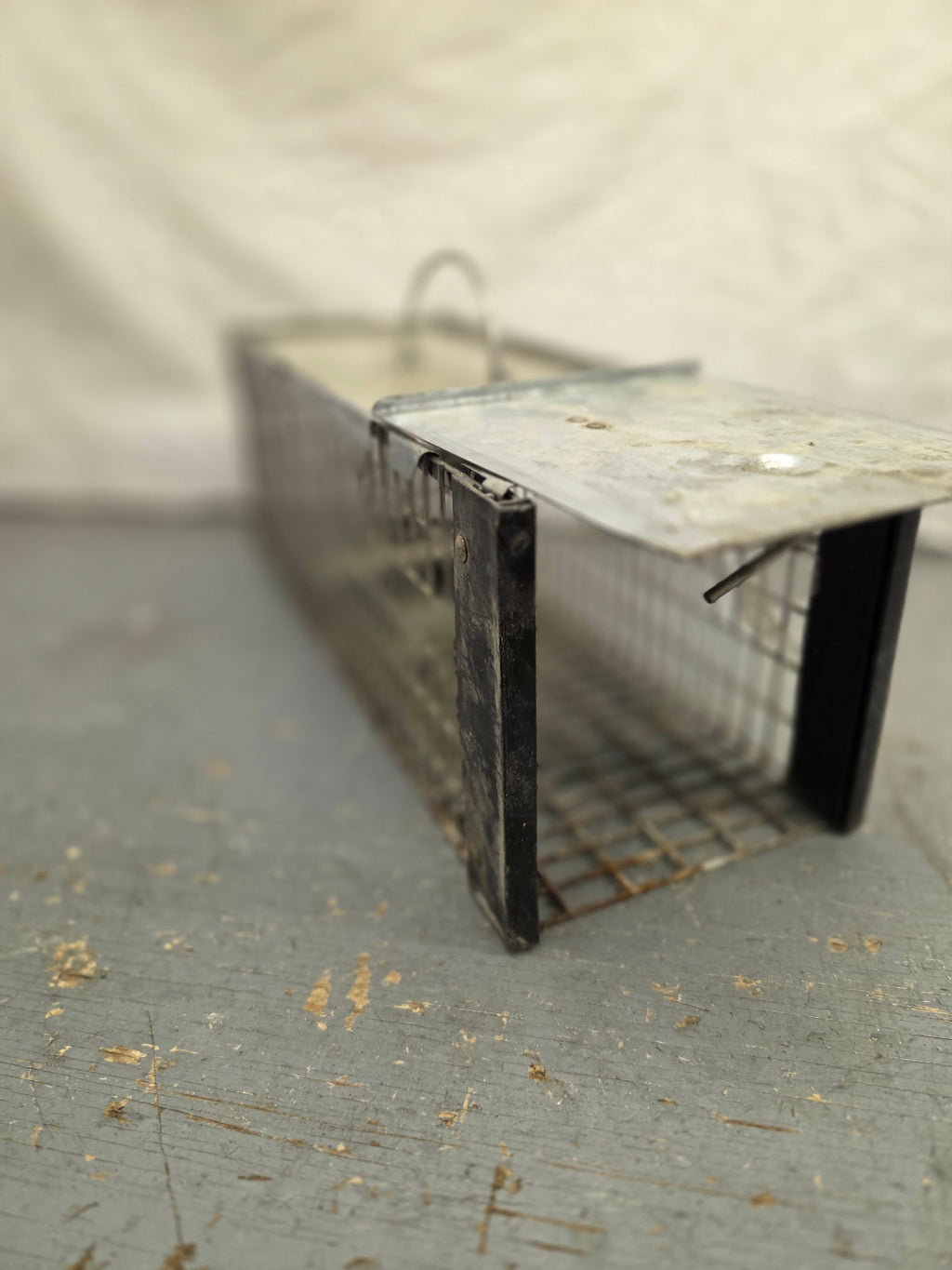 Small Animal Trap