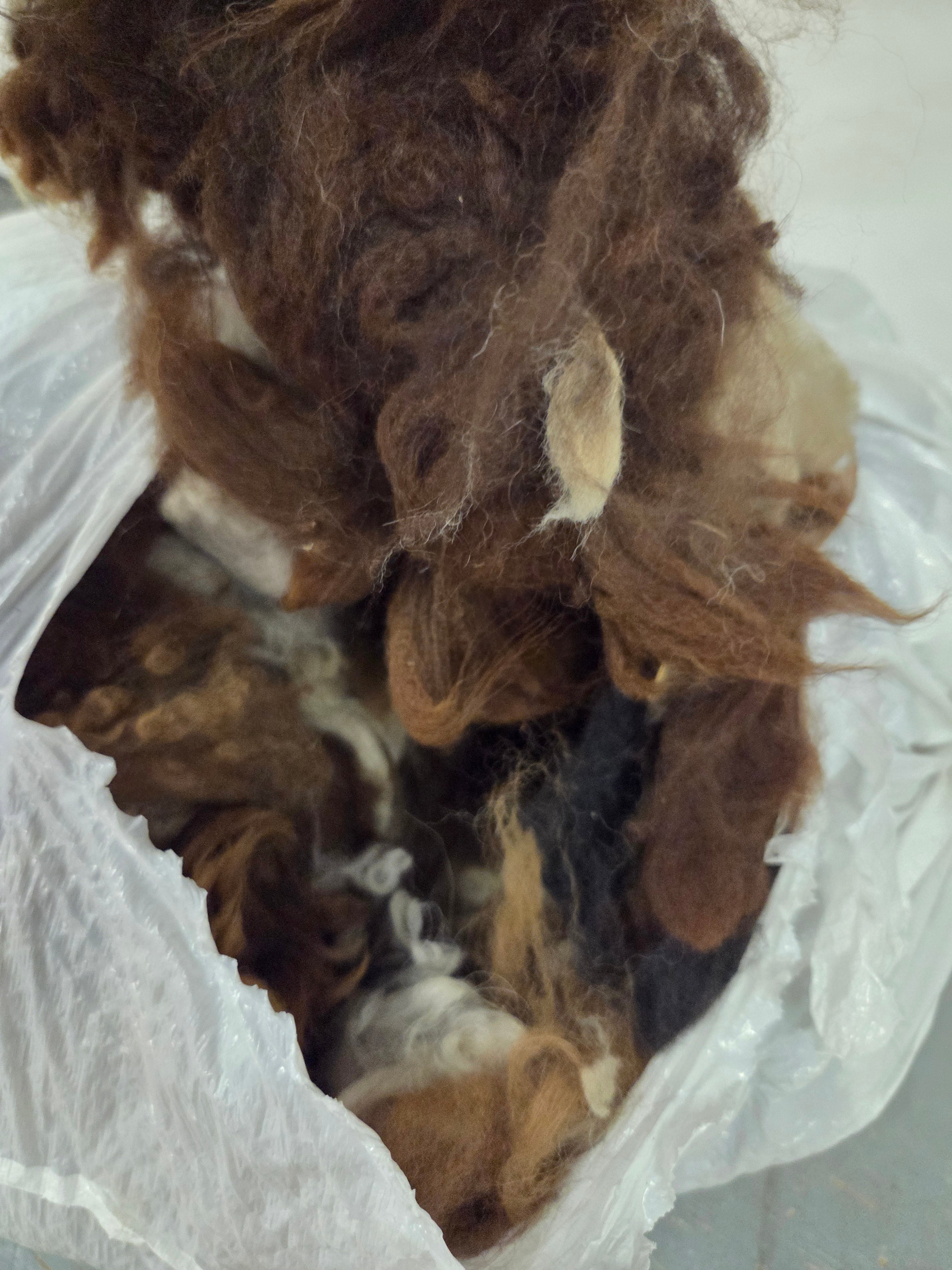 Alpaca Hair