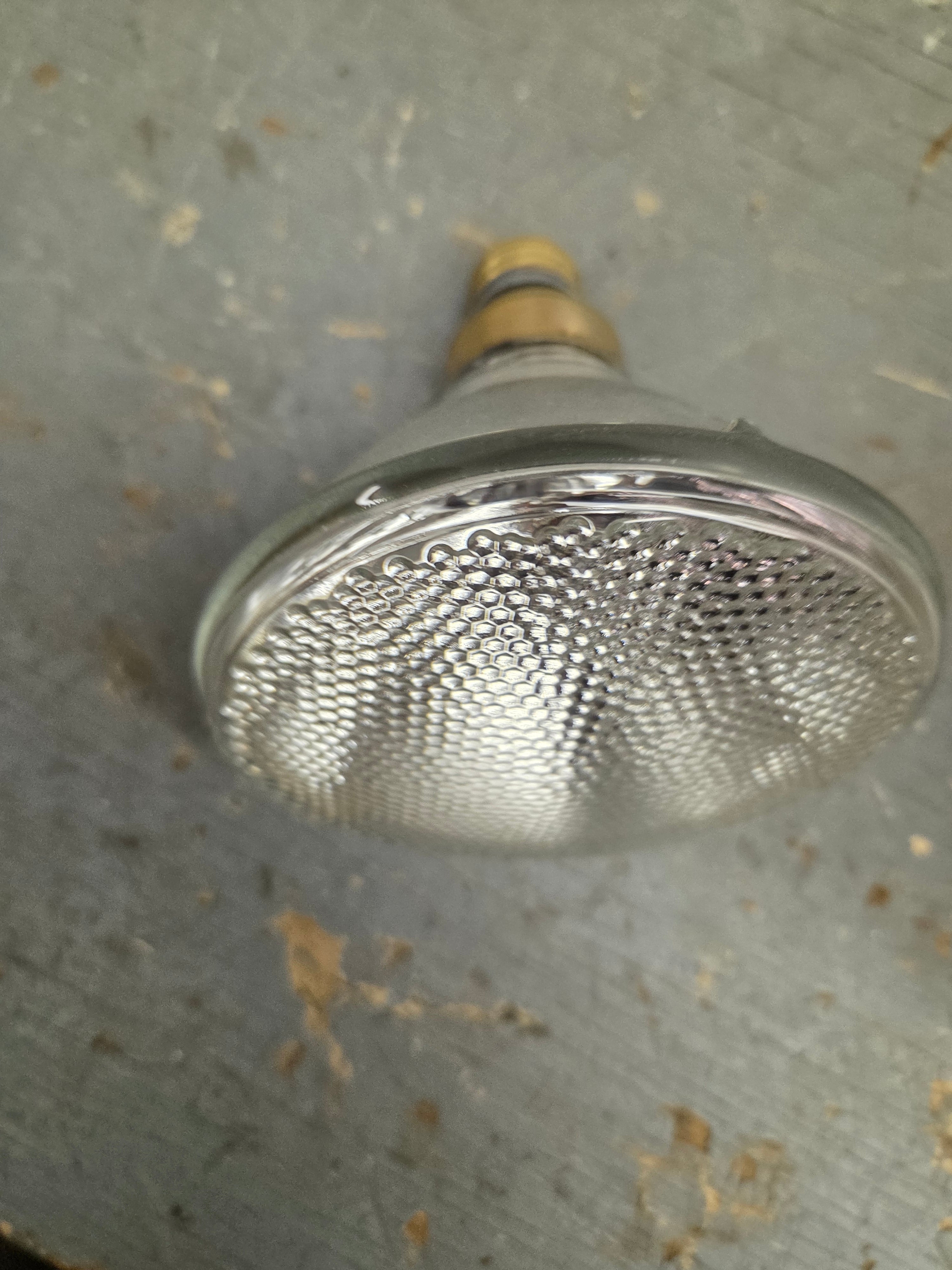 Light Bulb