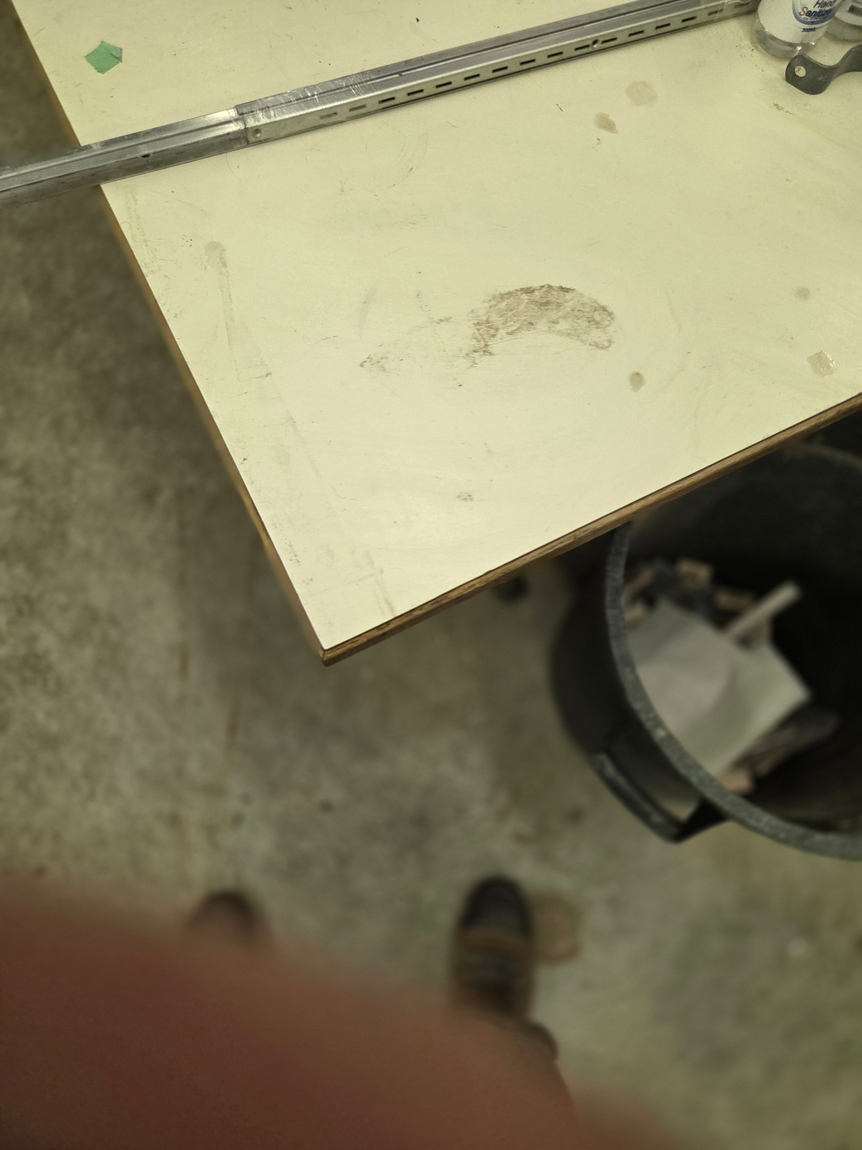 Small Animal Trap