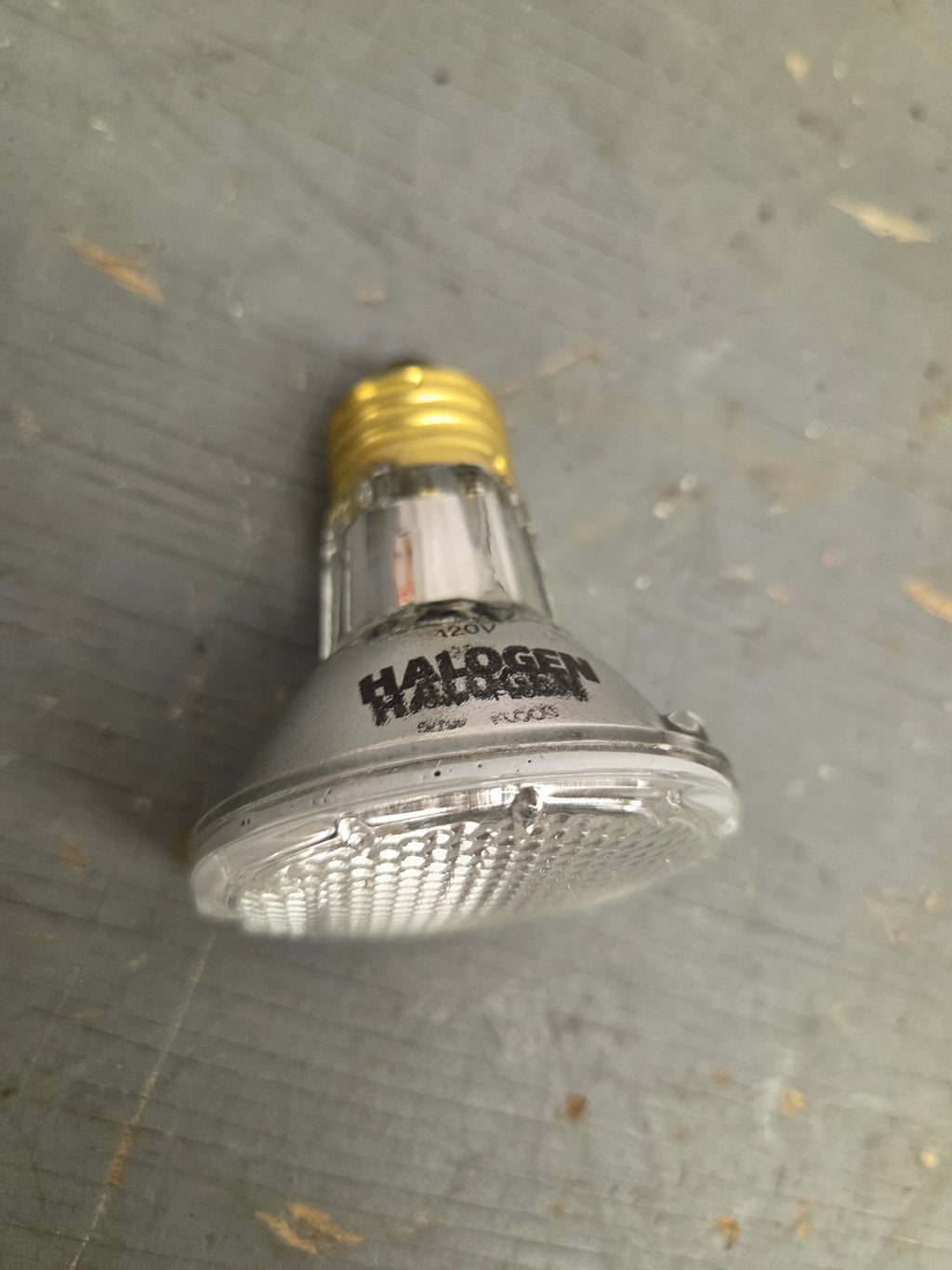 Light Bulb