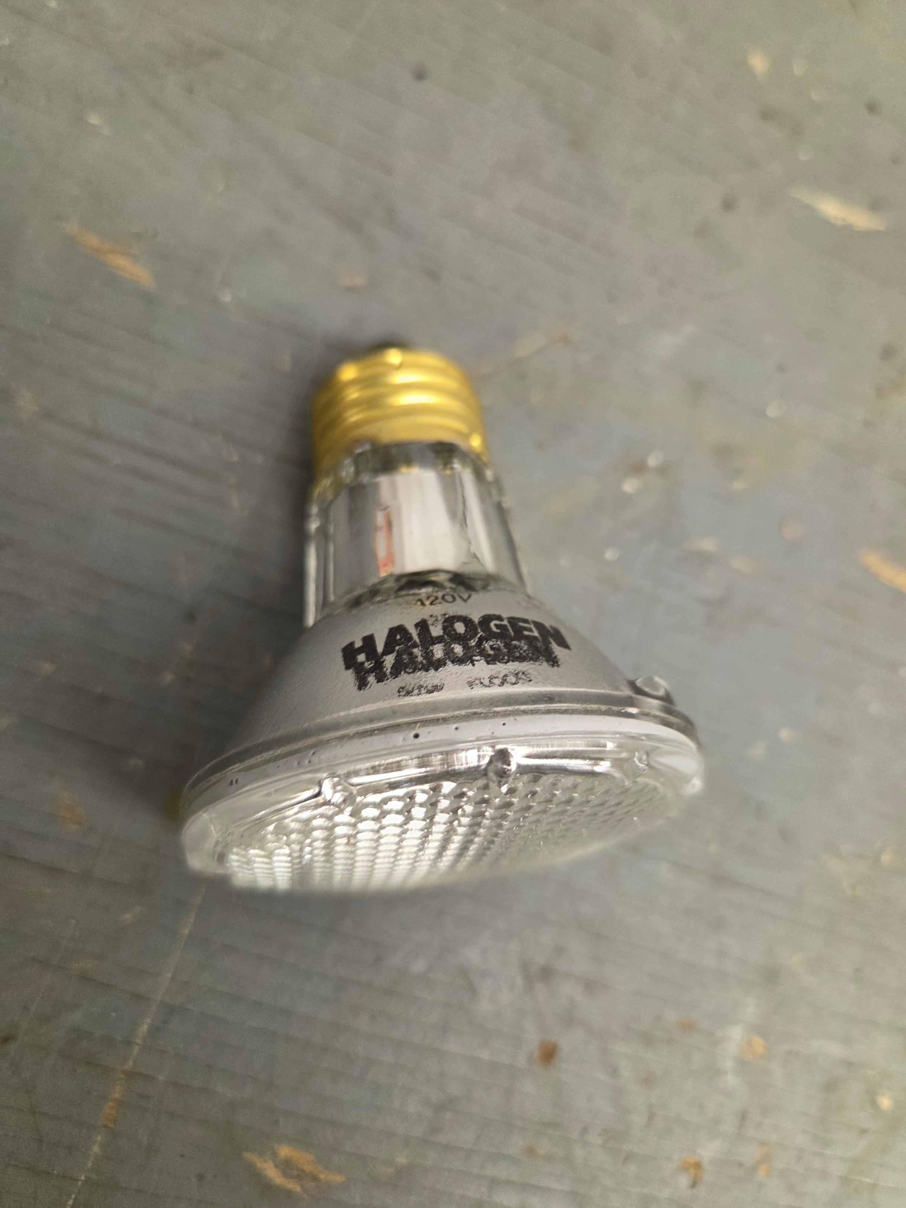 Light Bulb