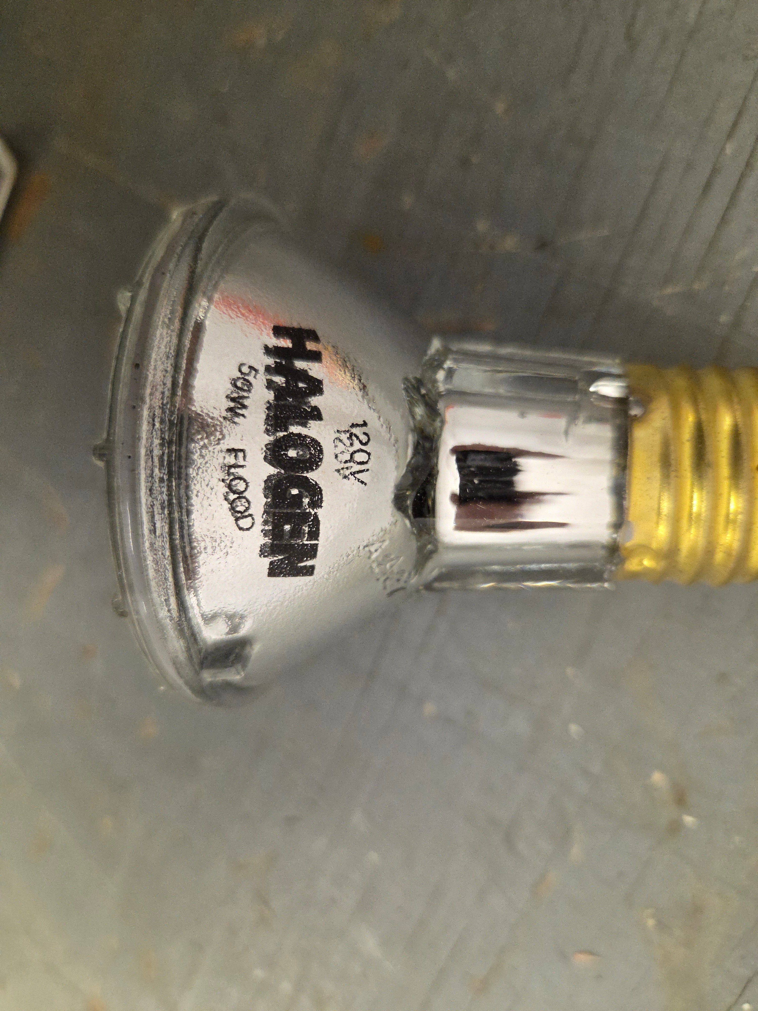 Light Bulb